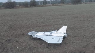 As Obvious as a Wooden Duck: What is Known About the "Gerbera" UAV Decoy