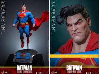 Права на изображения принадлежат Warner Bros. Entertainment Inc., DC и Hot Toys