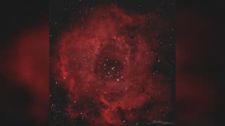 Space Also Gives Flowers: Roscosmos Showed Nebulae for March 8