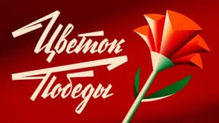 Мини-приложение для возложения цветов к памятникам в 25 городах запустили «Одноклассники»