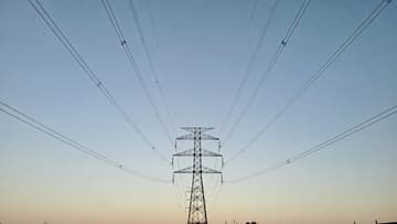 Inter Rao выкупит оставшиеся акции Telasi за 51 млн лари и доведет долю до 100%