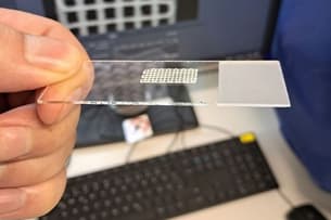 В Узбекистане готовят почву для печати человеческих органов на 3D-биопринтерах