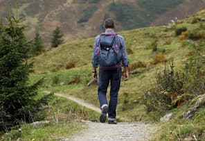 Tourism Business Under Digital Control: Armenia Launches Registry and Demerit Point System