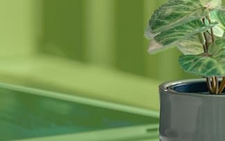 Ucom Launches Climate Program: The Company Will Begin Calculating and Reducing CO₂ Emissions