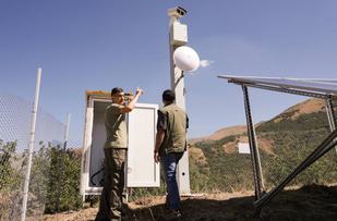 AI now monitors Armenia's wildlife: Ucom launched an unusual surveillance system