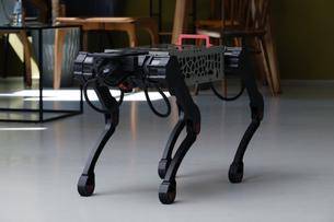 Armenian robot Ayg prepares for first pilot implementations