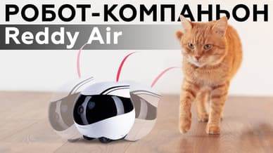 Обзор робота-компаньона Reddy Air