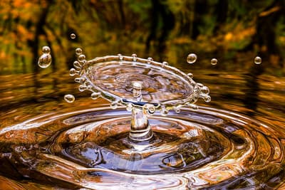 Алексей Ведерников