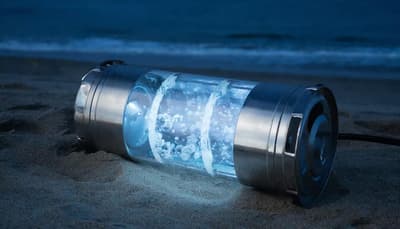 НовГУ имени Ярослава Мудрого