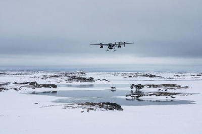 «Тихие крылья»