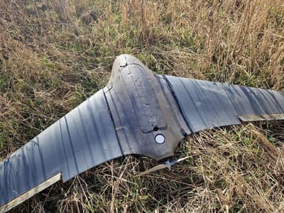 «Черника-2»