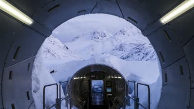 Правительство США