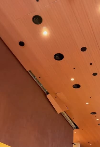 Видео со скрина RT