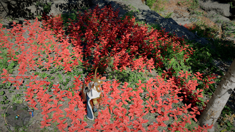 Crimson Desert / Pearl Abyss