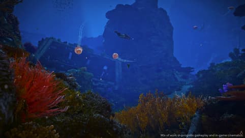 Рифы Карибов