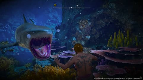 Атака акулы