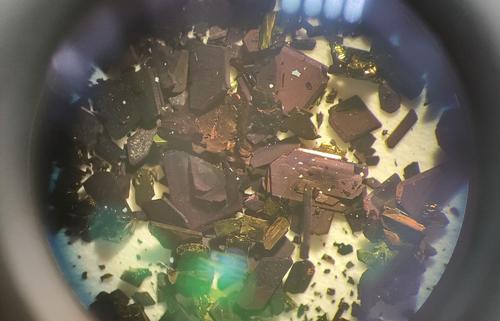 Photo of synthesized copper complex crystals under a microscope