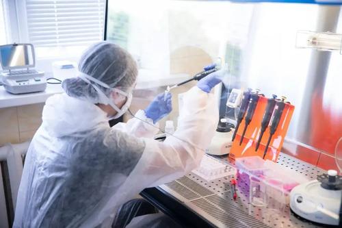 Silver Surpasses Antibiotic: Russian Scientists Create Complexes That Kill Tuberculosis Pathogen