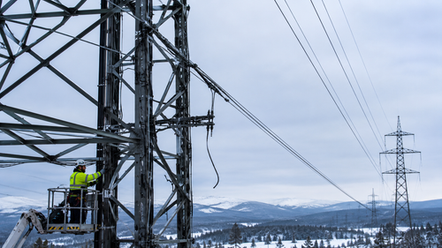 Internet no depende de un solo cable: un experto evalúa la amenaza de Finlandia
