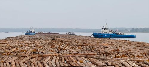 Timber raft caravan