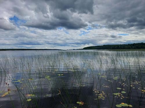 The Mystery of the "Pink Horizon": Traces of an Ancient Catastrophe Found in Lake Onego by Herzen RSPU Scientists