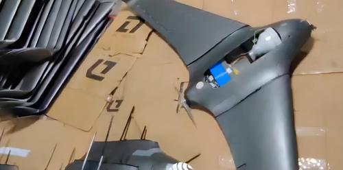 Characteristics of the newest Russian drone "Chernika-2" revealed: berries will follow the flowers