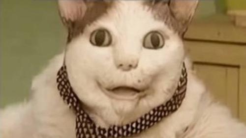 "¿Bu, te asusté? No te haré daño. Dime el código del SMS": El Banco Central mostró un video con un gato de IA del meme