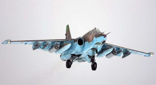 Су-25С