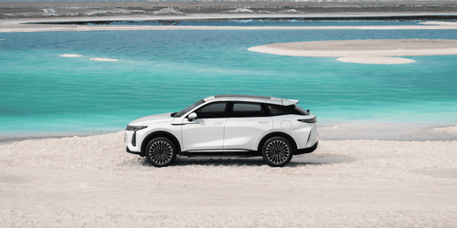 Exeed crossovers in Russia can now be reserved before purchase
