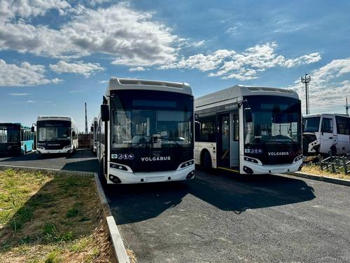Более 50 новых автобусов поставили в 5 регионов России