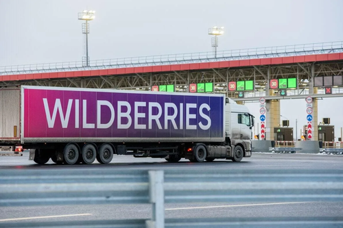 From pet supplies to electronics: Wildberries launches 4-hour express delivery