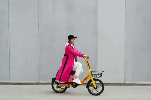 Bicicleta eléctrica Whoosh