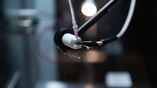Neuroimplant developed by scientists at NUST MISIS