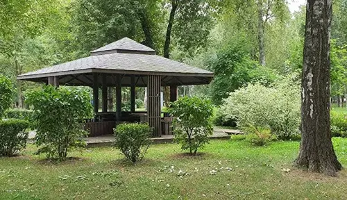 В Москве стартовал сезон шашлыка: лучшие места для пикника доступны для брони онлайн