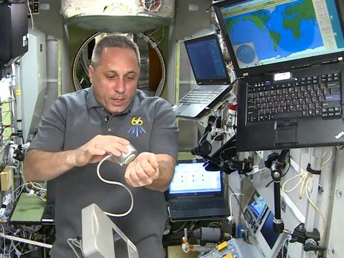 Pain, pins and plates for astronauts: how the "Algometry" experiment is conducted on the ISS