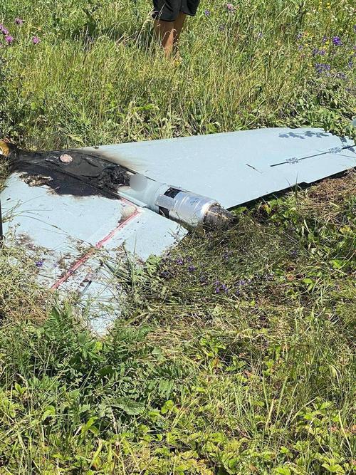 Engañan a Patriot, NASAMS e IRIS-T: las Fuerzas Armadas rusas despliegan nuevos UAV para sobresaturar los SAM del enemigo