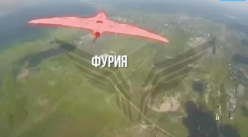 «Лелека-100» и «Фурия» больше не летают: разработка Минобороны сбивает БПЛА в воздухе