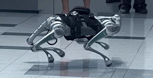 Presentan un perro robot biónico para misiones peligrosas en el SPIEF