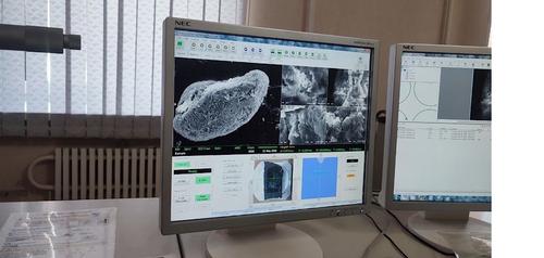 Следы нового загадочного метеорита обнаружили в Челябинской области: лабораторный анализ ЧелГУ подтвердил иноземный состав