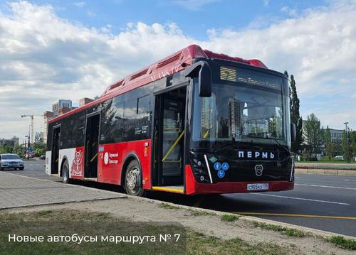 Transition to LiAZ-5299 buses in Perm led to disruptions in the transport system