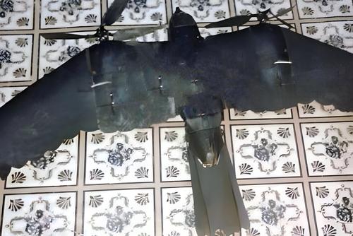 Militares rusos camuflan por primera vez drones de reconocimiento como pájaros: imágenes únicas