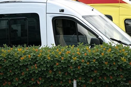 Ambulancias de Bélgorod se equiparán con protección contra drones