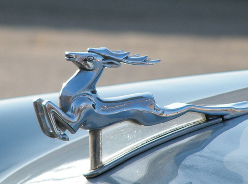 Deer on the hood of the GAZ-21 "Volga"