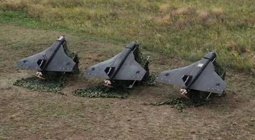 UAV "Gerbera"