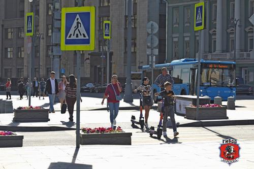 Число аварий с электросамокатами в Москве сократилось почти в два раза за семь месяцев