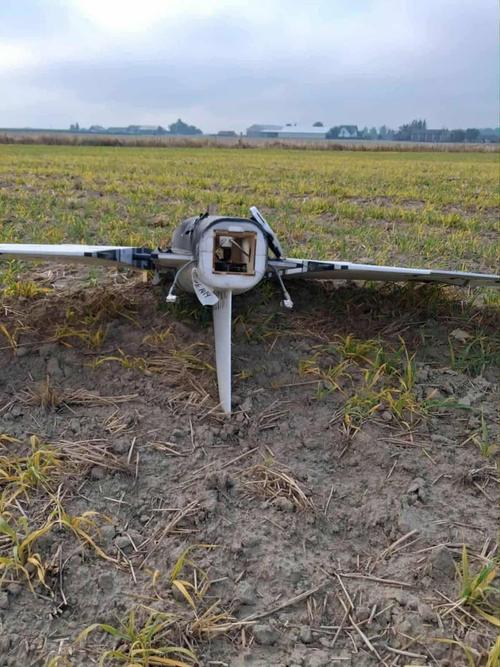 UAV "Gerbera"