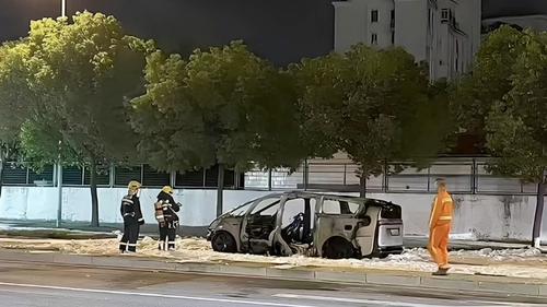 Burnt&nbsp;Li Auto&nbsp;