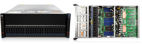 Image provided by Nerpa press service