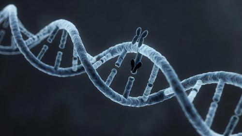 La prueba de ADN SepOr para buscar delincuentes fuera de las bases de datos fue creada en Siberia