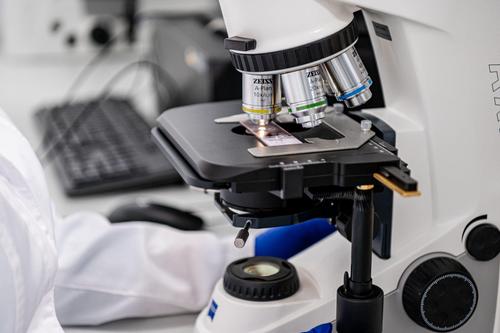Ayudará a restaurar la médula espinal humana: un nuevo bioandamio fue creado en la universidad "Sirius"